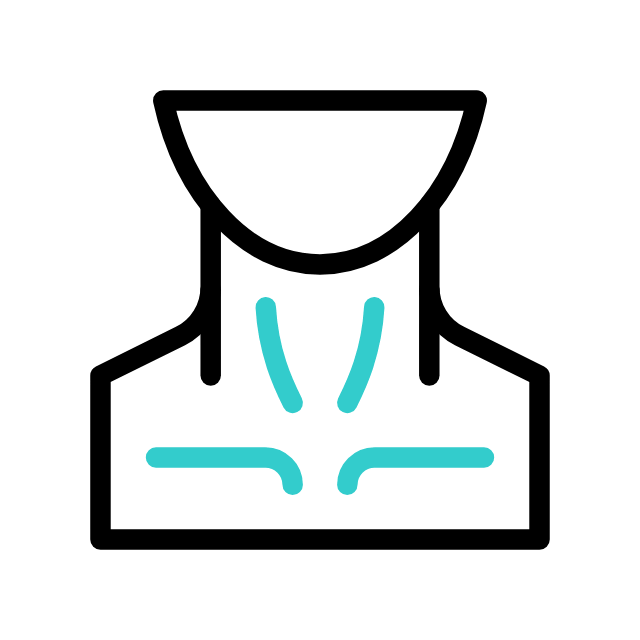 Pelvis animated icon Pelvis animated icon