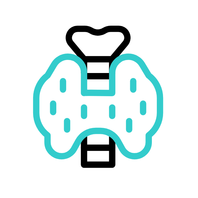 골반 animated icon 골반 animated icon