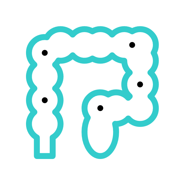 골반 animated icon 골반 animated icon