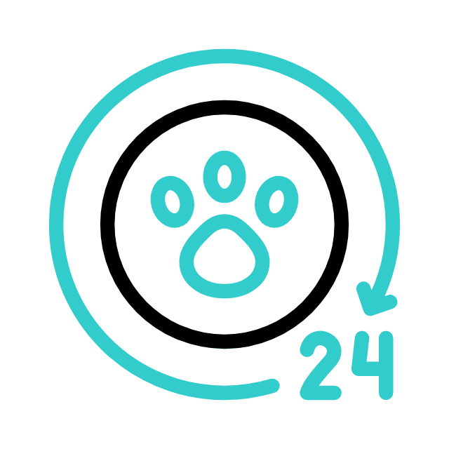 개 animated icon 개 animated icon