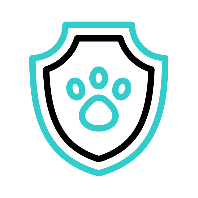 개 animated icon 개 animated icon