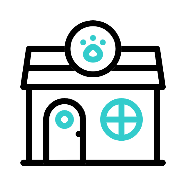 개 animated icon 개 animated icon