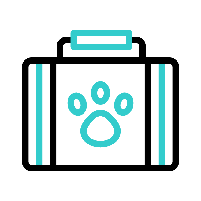 개 animated icon 개 animated icon