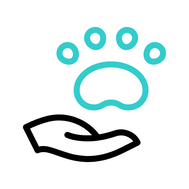cuidados de saúde animated icon cuidados de saúde animated icon